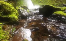 自然声asmr视频下载：3D音效有自然声、流水声和下雨声